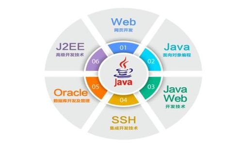 從入門到退坑 IT行業五大崗位全解析，軟件開發是否最賺錢？
